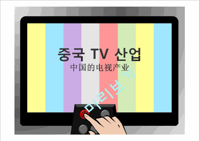 중국의 TV 산업분석   (1 )